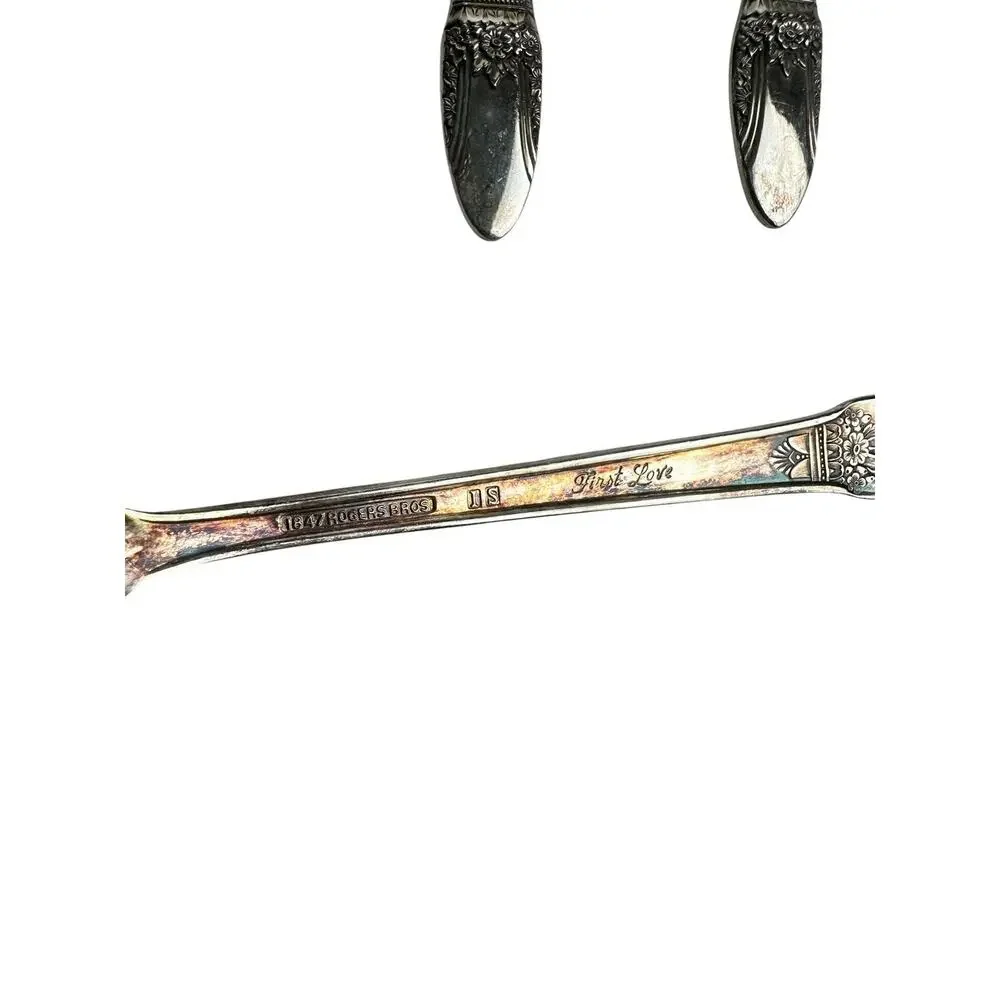 1847 Rogers Bros First Love Silverplate Flatware Set 55 Pieces Service + Serving